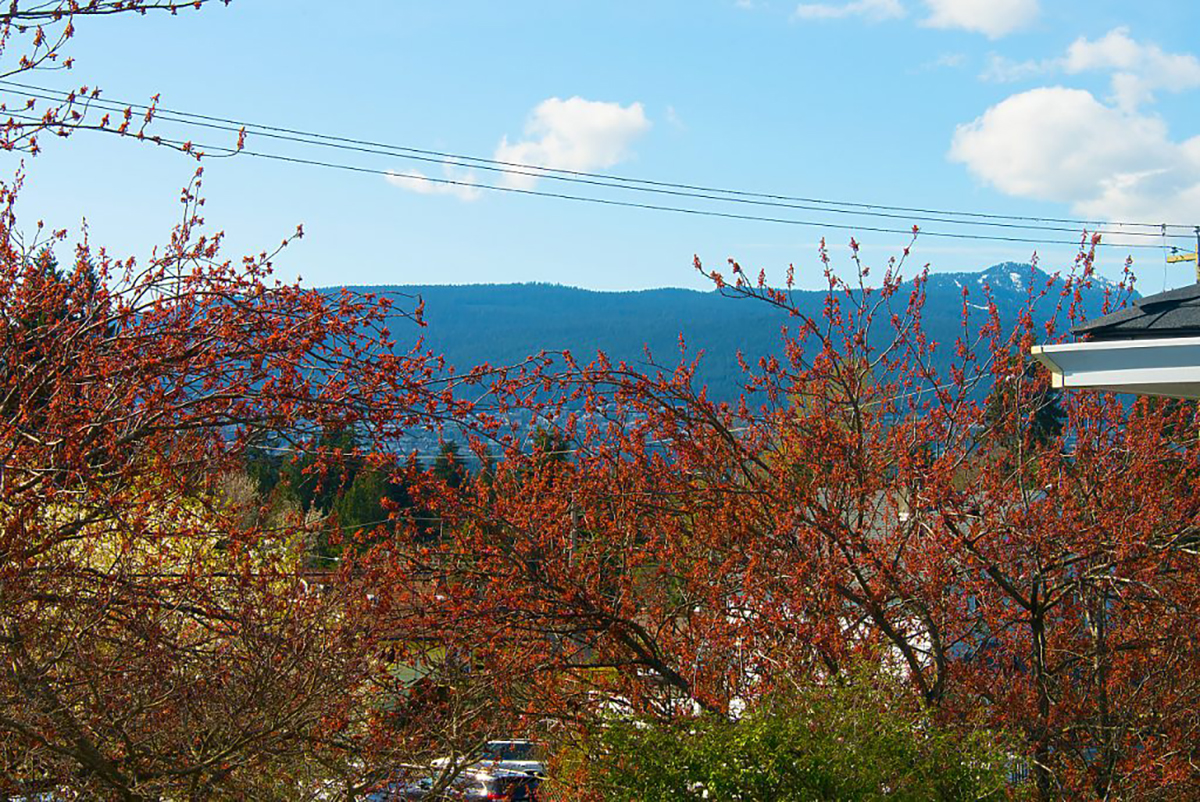 1644 B Mahon Ave, Central Lonsdale, North Vancouver 23