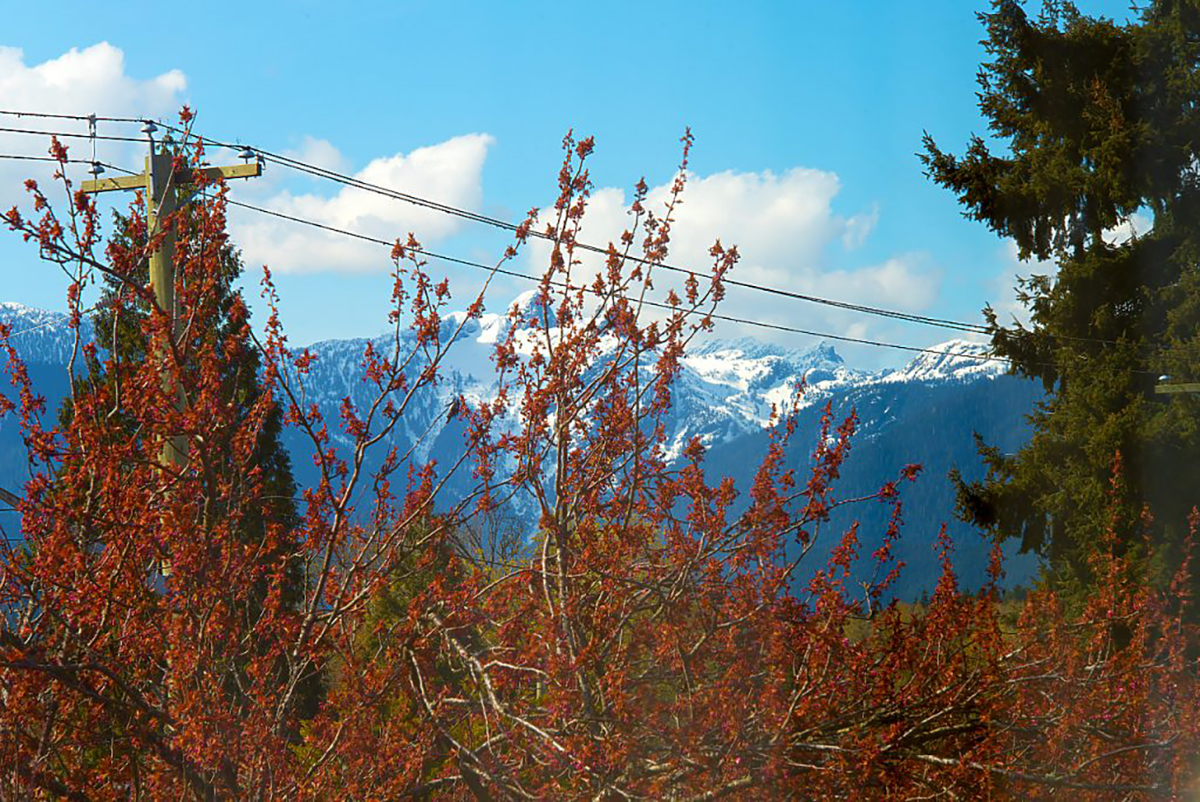 1644 B Mahon Ave, Central Lonsdale, North Vancouver 24