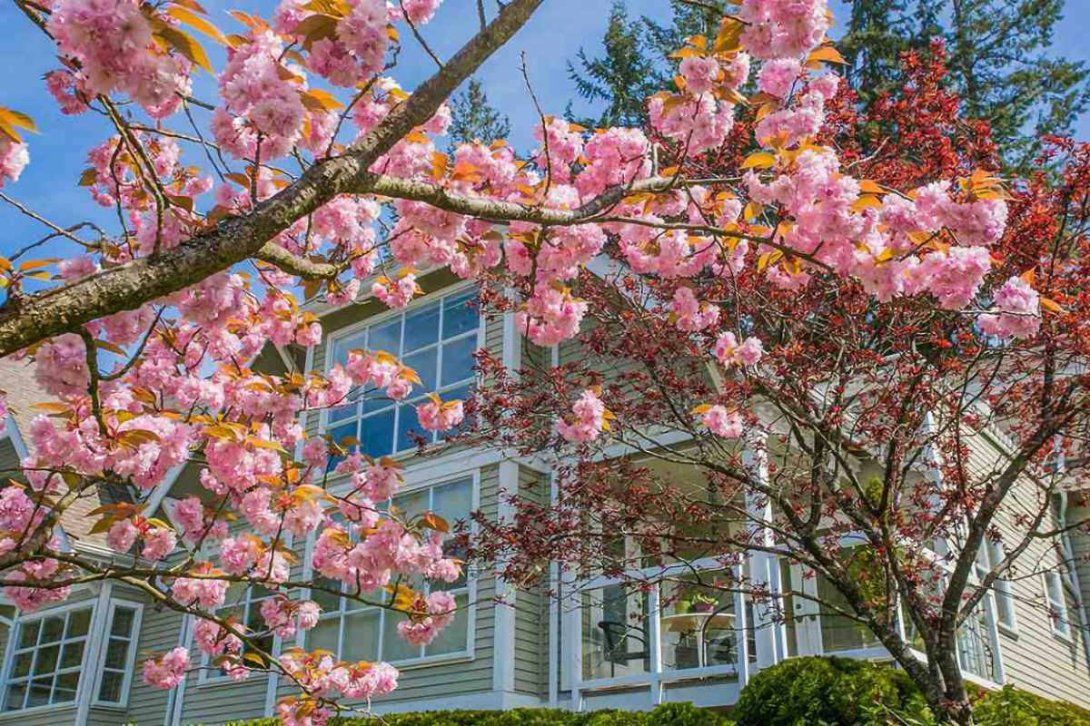 #304 - 3373 Capilano Crescent, North Vancouver 20