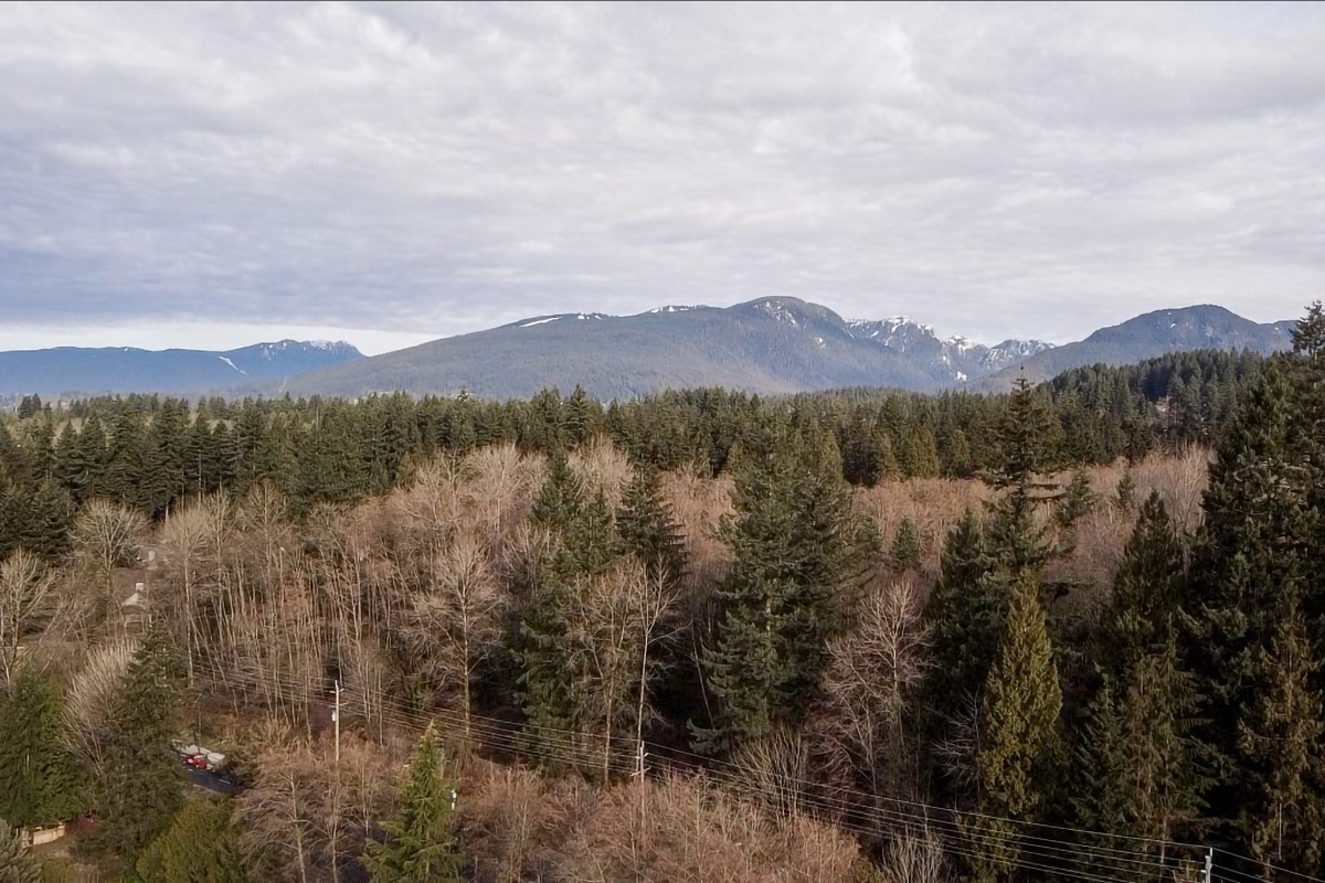 3083 Plymouth Drive, North Vancouver 8