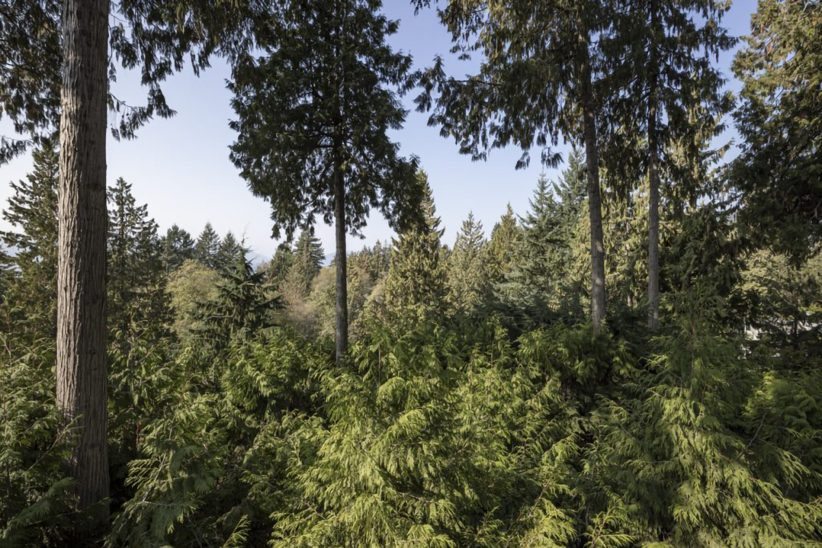 5341 Montiverdi Place, West Vancouver 37