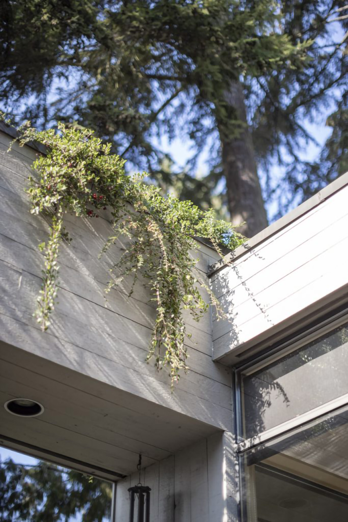 5341 Montiverdi Place, West Vancouver 47