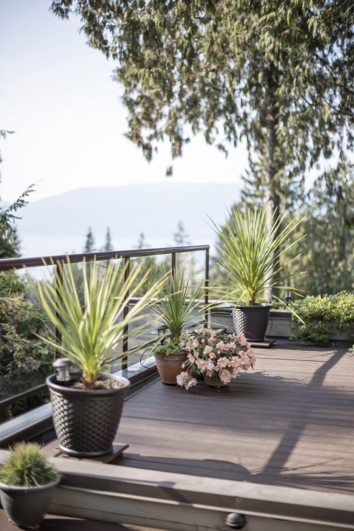 5341 Montiverdi Place, West Vancouver 53