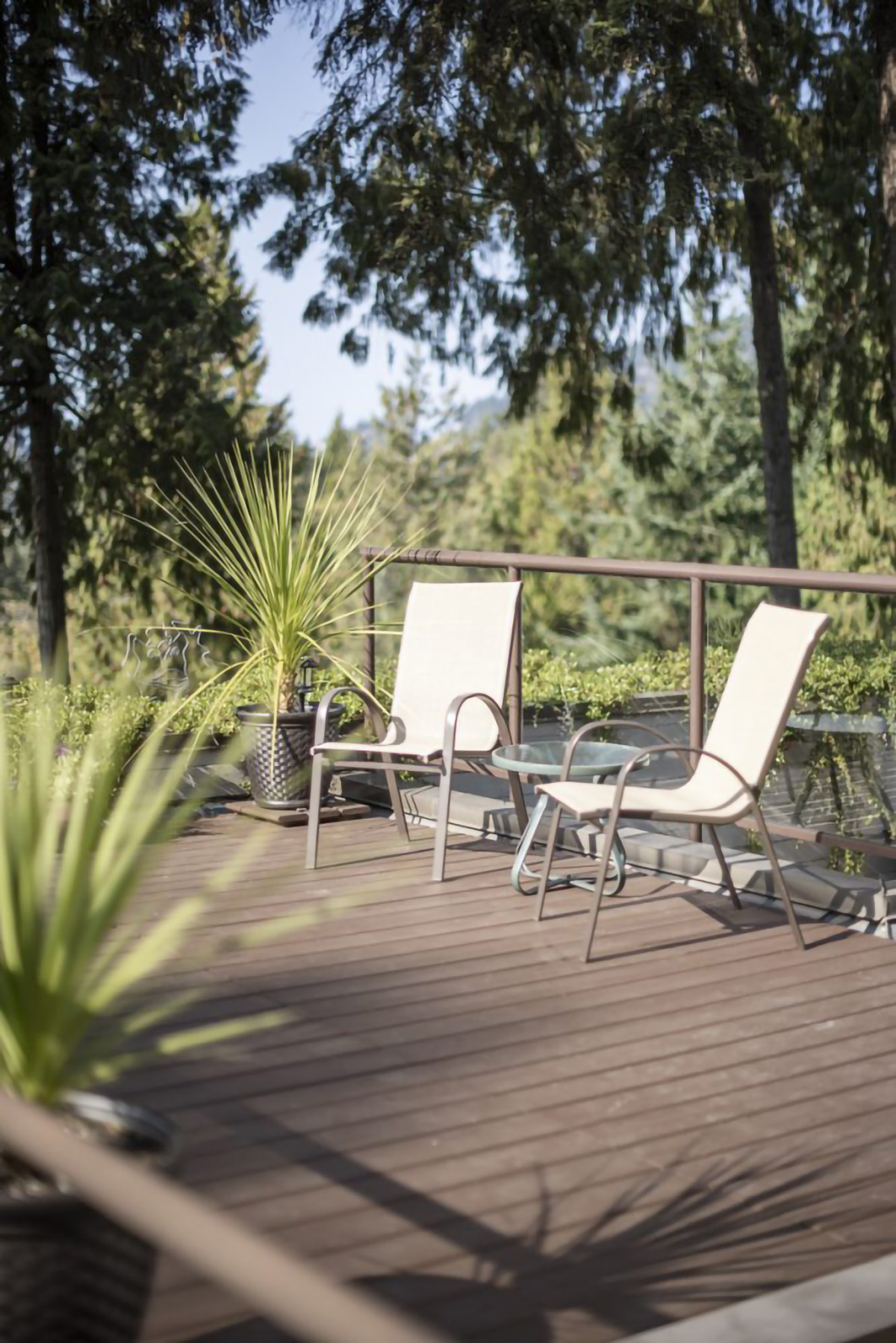 5341 Montiverdi Place, West Vancouver 55